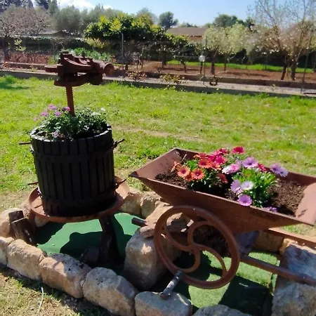 Il Rimedio Alghero